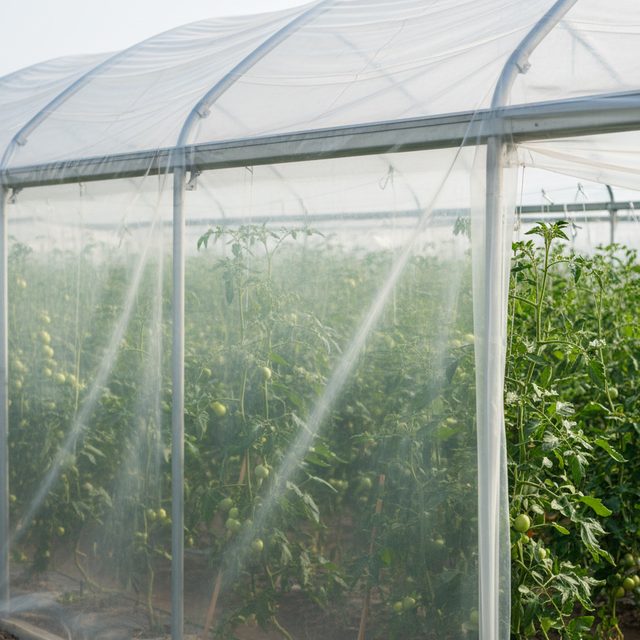 Greenhouse Films